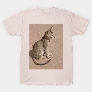 Cat T-Shirt